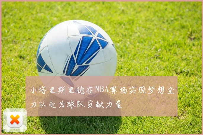 小塔里斯里德在NBA赛场实现梦想全力以赴为球队贡献力量
