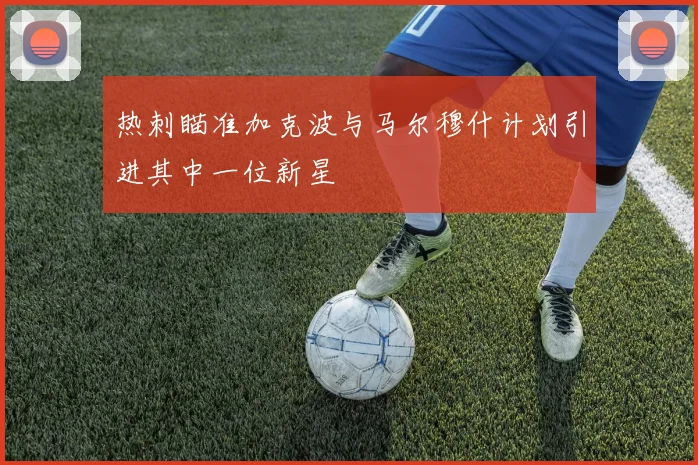 热刺瞄准加克波与马尔穆什计划引进其中一位新星